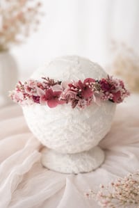 Image 1 of Halo bordeau fushia et rose 