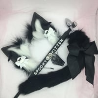 Spooky Black/white kitten set 🐈