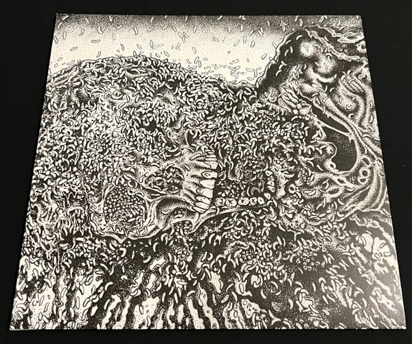 Image of Putrefaction Sets In / Fester Decay Split