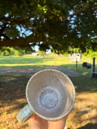 Image 10 of Lonestar mug