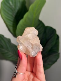 Image 1 of BOWTIE STILBITE X DIAMOND APOPHYLITE -INDIA- D