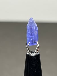 Image 11 of Tanzanite Crystal 3.5ct | Merelani, Tanzania #2874