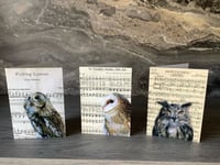 Image 1 of Owls on music