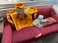 Image 2 of Tuesday Yellow Vinny Airbrushed Hoodie (XL)