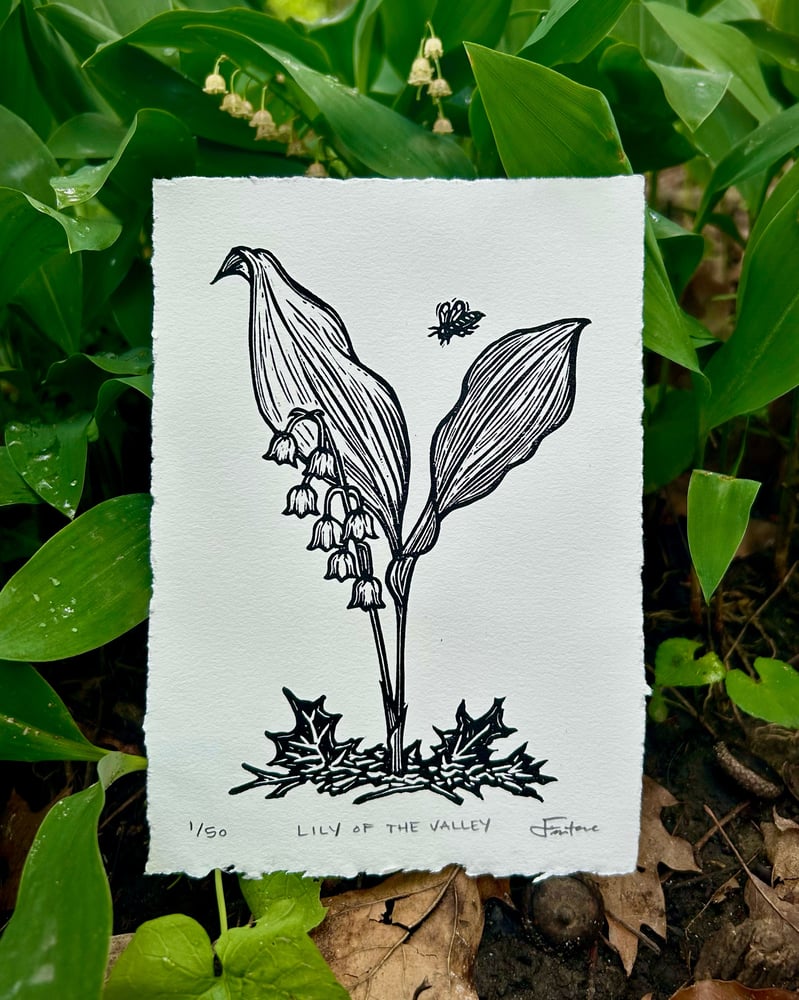 Image of (You Belong) Among the Wildflowers: Monthly botanical series