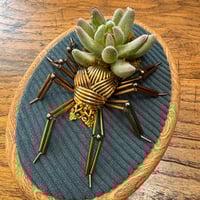 Image 2 of Succulent spider (a, 4x5 inches)