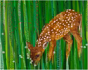 Image of 'Dear Kateri'