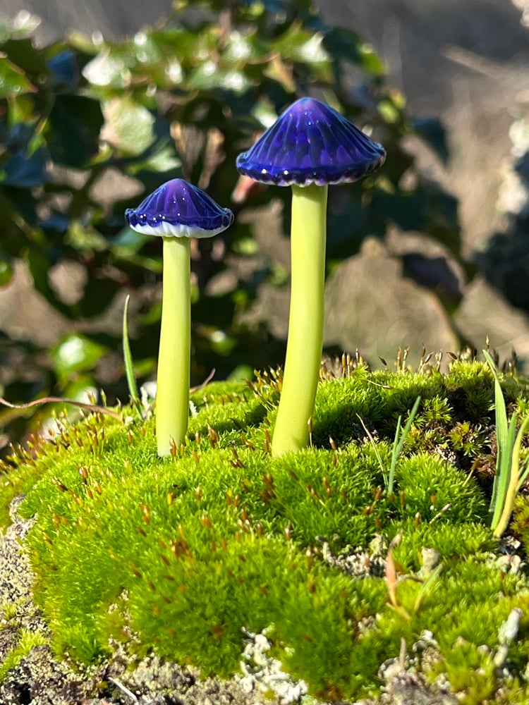Image of 2 Purple & Green Mushroom Plant Spikes