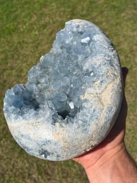 Image 14 of Celestite Cluster #1059