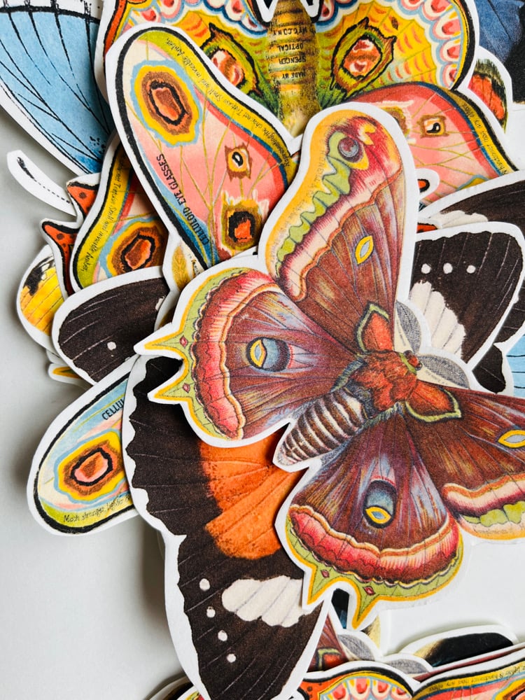 Image of 20 PAPILLONS