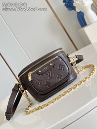 Image 3 of LV Mini Bumbag