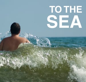 Image of To the Sea