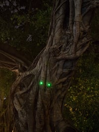 Image 3 of Limited edition prints