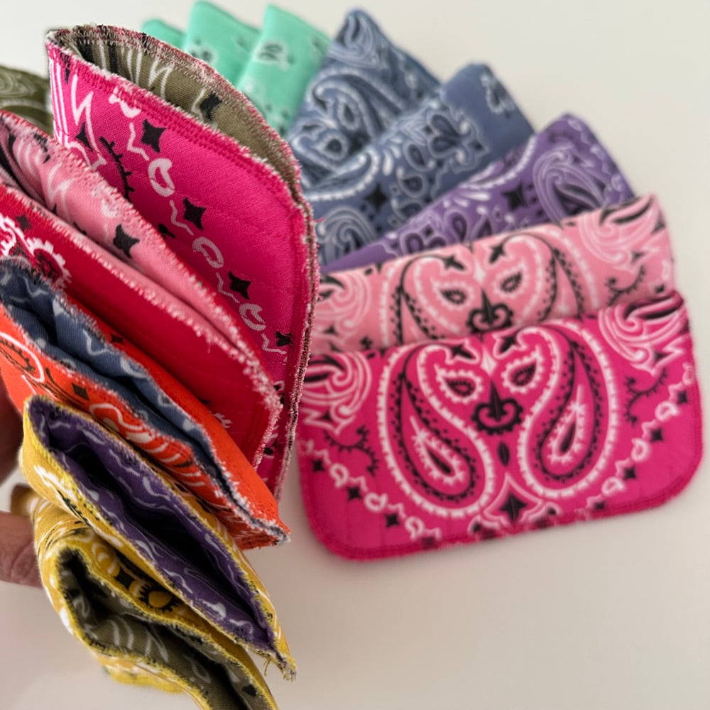 Image of Bandana eyeglass case