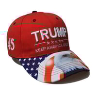 Image 2 of Trump Hat 1