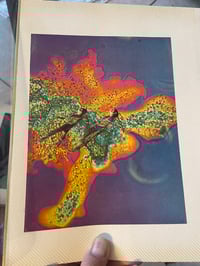 Image 2 of Acid pool 