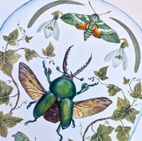 Image 7 of January Dome, Under Glass Collection