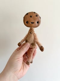 Image 3 of Chocolate Chipper