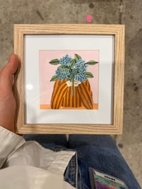 Image 1 of Embrace Them - Mini Hydrangeas