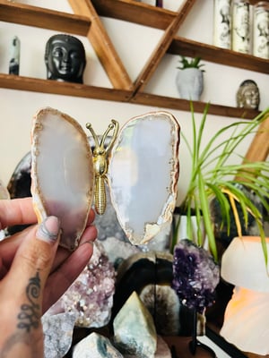 Image of Natural agate butterfly