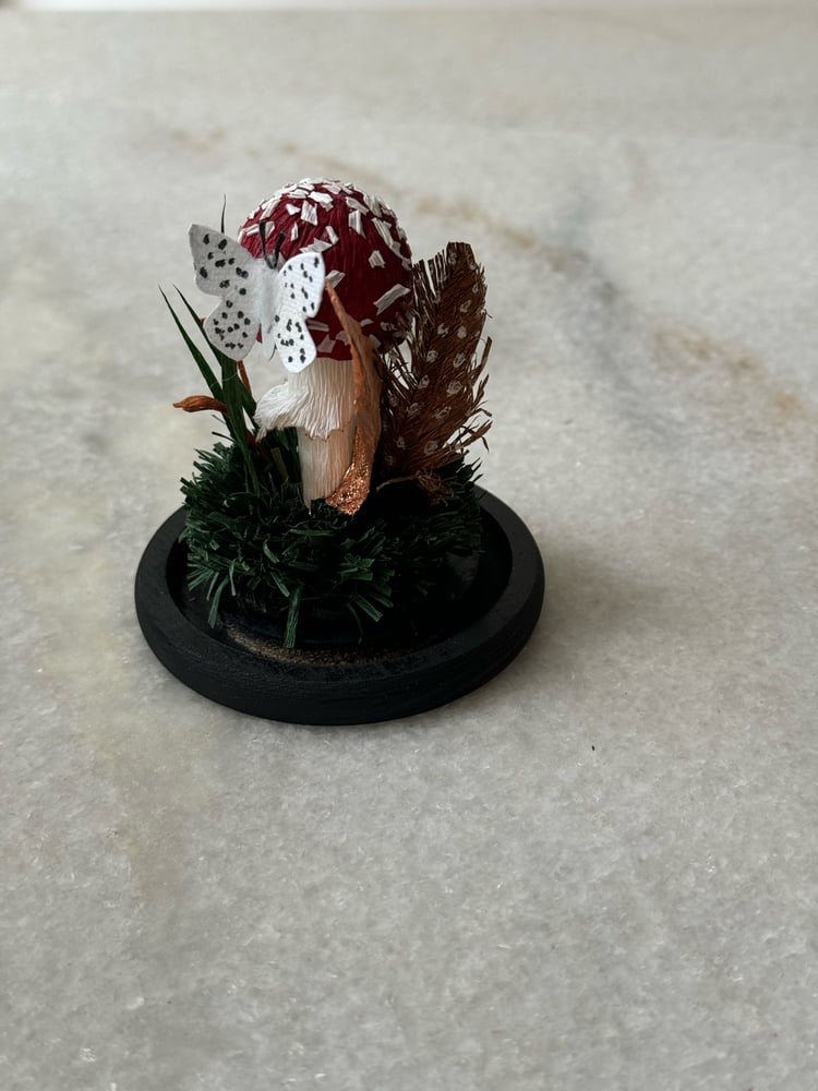 Image of Amanita Muscaria