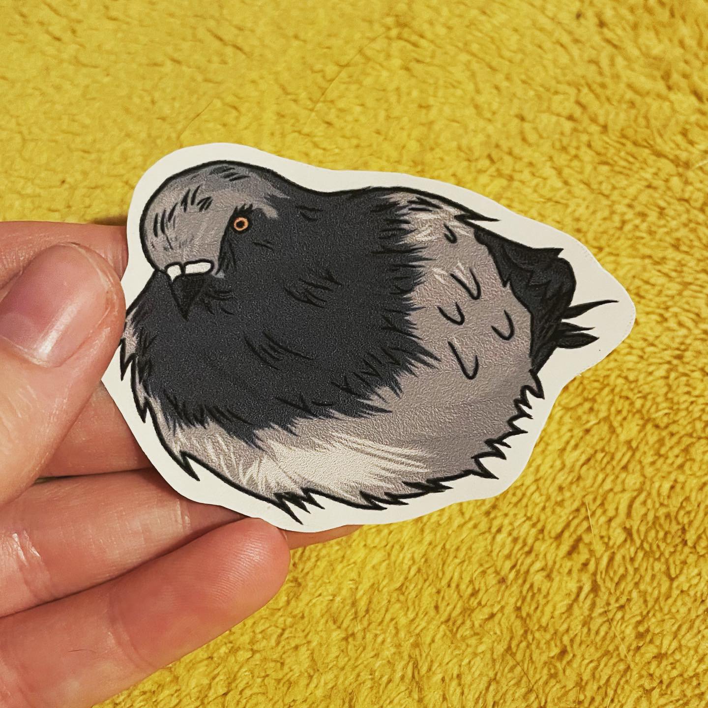 Fat Pigeon Sticker