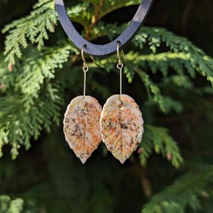 Image of Autumn Leaves Earrings