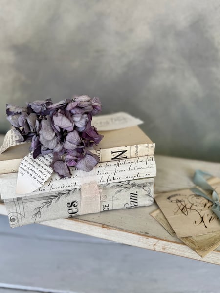 Image of Typography book bundle #2