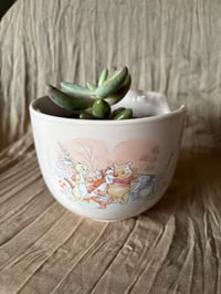 Image 3 of Red Finger Succulent in Winnie-the-Pooh Bowl