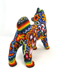 Image 2 of Husky