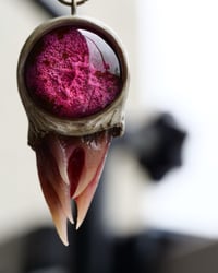 Image 4 of Magenta Bloom Snaggletooth Pendant OOAK