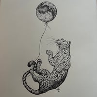 Image 6 of Cheetah 