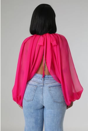 Image of Voluminous of Sheer Organza Blouse