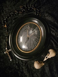 Image 1 of Crow tongue with real preserved spider web in Antique frame 