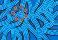 Image 3 of Reconnecting Print
