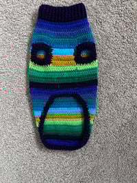 Image 3 of Snazzy Peacock in Stock