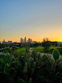 Image 5 of Nopal Y Amor