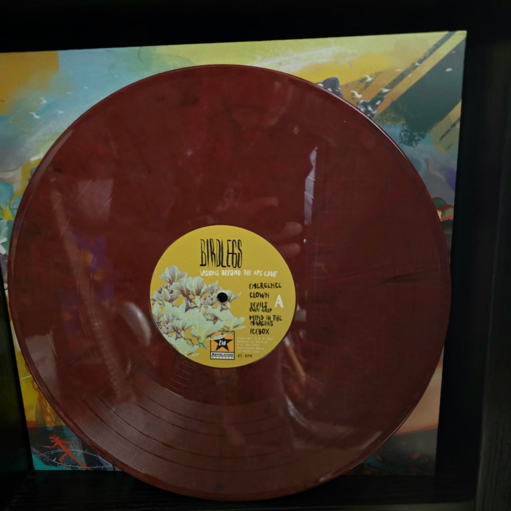 Birdlegs - Visions Beyond The Ape Cave