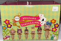 Wonderland Full Case 