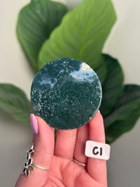 Image 3 of CHOOSE YOUR OWN MOSS AGATE DISK -INDIA- LOT 1
