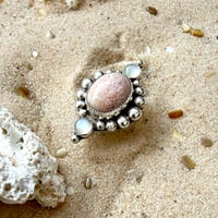 Image 3 of Coral Shores