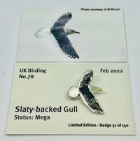 Image 1 of Slaty-backed Gull - No.78 - UK Birding Series