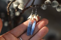 Image 4 of Orecchini Vertebre di mustelide e Kyanite