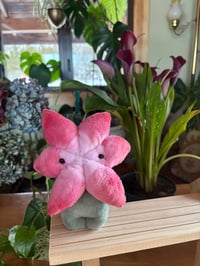 Lily Flower Bud - Pink 2