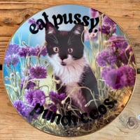 Image 2 of kittens know