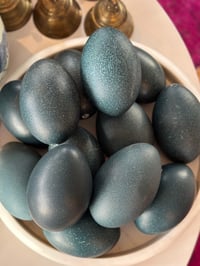 Emu Egg