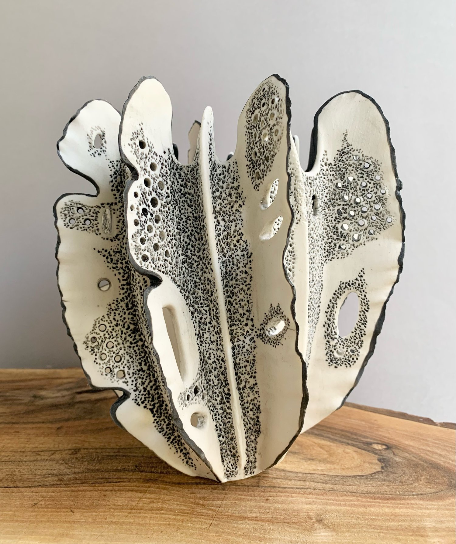 Image of Black and White Coral 