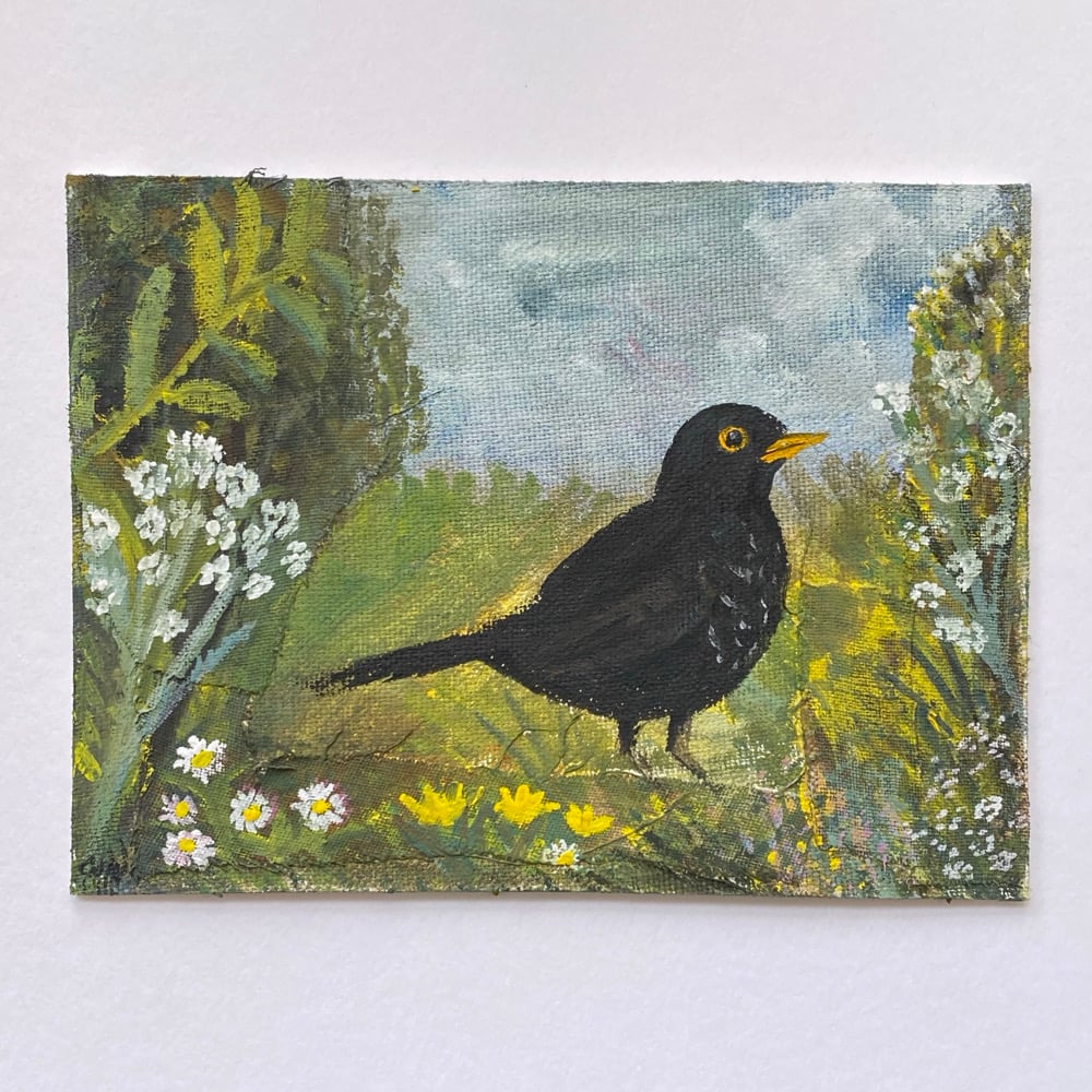 Image of blackbird in a wild summer garden - small painting