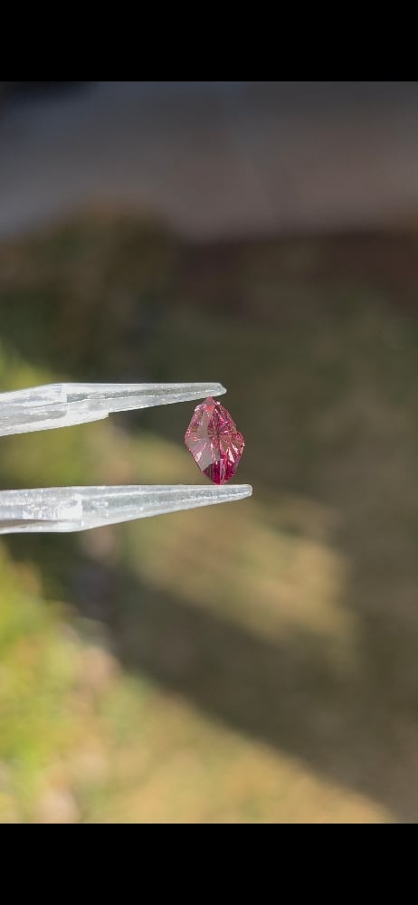 Image of Dragonfly Rose Garnet