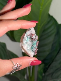 Image 2 of COPPER X MALACHITE STAINED QUARTZ -MOROCCO- E